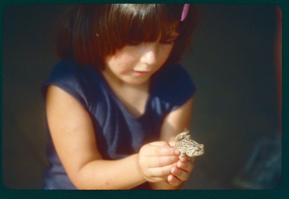 Nature Frog with Camper  1983